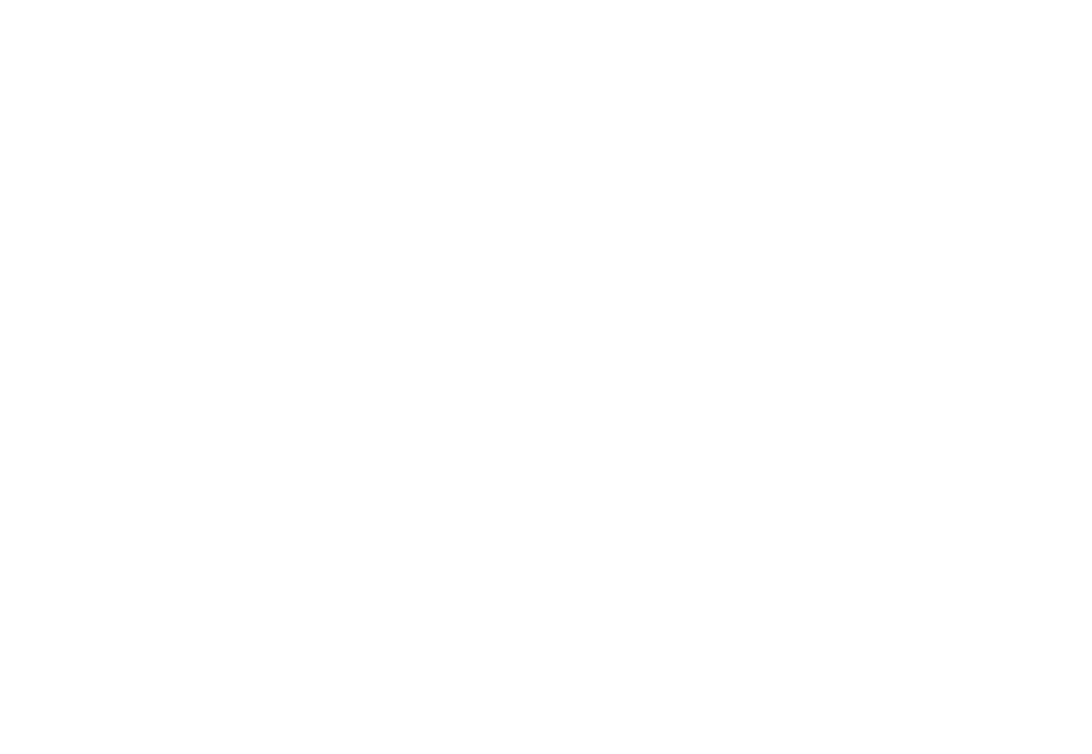 polk-ultramarine_logo